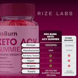 (2 Pack) Pro Burn Keto Gummies - ProBurn Keto ACV Gummies for Weight Loss Pro Burn Keto Gummies with Apple Cider Vinegar Advanced Shark Supplement Energy Booster Tank (120 Gummies)