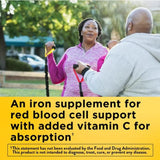 Iron 18 mg Per Serving with Vitamin C Gummies, Nature Made Dietary Supplement, 70 Count and Bookmark Gift of YOLOMOLO