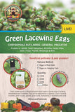 Natures Good Guys - Green Lacewing Eggs (2500 Eggs)