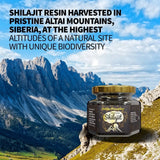 SIBERIAN Pure Shilajit "Golden Mountains" 100g Siberian Altai Resin Mumijo