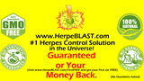 HerpeBLAST  Herpes Treatment Cream Lips Genital HSV1 HSV2 SUPER BEST Suppression