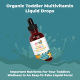 Multivitamin & Multimineral with Iron for Toddlers by MaryRuth's | USDA Organic | Sugar Free | Multivitamin Liquid Drops for Kids Ages 1-3 | Immune Support | Vegan | Non-GMO | 2 Fl Oz