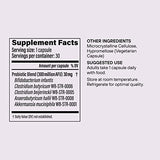 Pendulum Metabolic Daily with Akkermansia – Supports Metabolism – Sustains Energy Levels – The Only Brand with Patented Live Akkermansia - 30 Capsules (1 Pack)