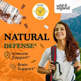 Wild & Organic Mushroom Gummies - Reishi, Chaga, Cordyceps, Maitake, Lion's Mane, Turkey Tail, Blend - Brain Booster & Immune Support Supplement, 60 Chews