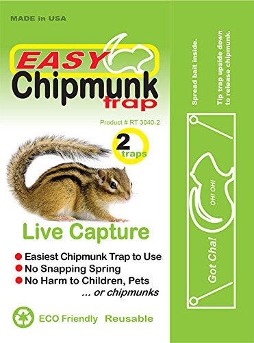 Easy Chipmunk Trap (2 Pack) – kate-minimalist