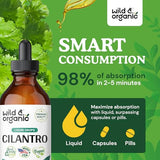 Organic Cilantro Supplements - Cilantro Leaf Tincture for Detox - Cilantro Liquid Extract for Body Cleanse - Vegan, Alcohol Free Drops - 4 fl oz