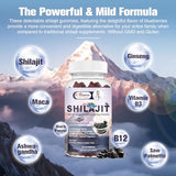 Shilajit Gummies for Men & Women, Shilajit Pure Himalayan Organic Multi-Supplement, Shilajit Ashwagandha & High in Trace Minerals & Fulvic Acid for Energy, Strength & Immunity, 60 Serving