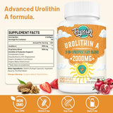 Urolithin A Supplement 2000MG - for Mitochondria, Energy, Antioxidants, Premium Quality Cellular, 120 Softgels