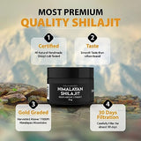 Gold Graded Himalayan Shilajit Above 17000FT 15Grams Purified & Organic Natural Dried Shilajit Resin, 85 Plus Natural Essential Minerals, 80% Fulvic Acid, 13% Humic Acid