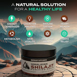 Pure Himalayan Shilajit Resin Supplement | 1500mg + 40% Fulvic Acid (Maximum Potency) | Natural Shilajit Resin with 85+ Trace Minerals for Energy, Performance, Immune Support | Non GMO | 50 Grams