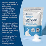 NativePath Collagen Peptides Protein - Hydrolyzed Type 1 & 3 Collagen Powder for Skin, Hair, Nails - Collagen Powder for Skin - 15.9 oz (45 Servings)