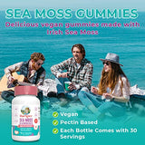 MaryRuth's Gummies Sugar Free Made with Irish Sea Moss for Gut Health and Immune Support Formulated for Adults and Kids Ages 4+ Vegan Non-GMO Gluten Free | 60 Count