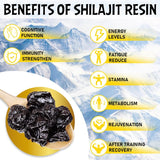 Shilajit Pure Himalayan Organic Maximum Potency Shilajit Resin Authentic Gold Grade Rich in 85+ Trace Minerals with Fulvic Acid Shilajit Supplement for Energy&Immune Support,50 Grams（1 Pack）