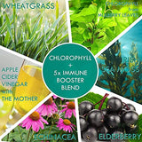 Chlorophyll Gummies - Sugar Free with Unfiltered ACV, Sea Moss & Elderberry, Echinacea, Vitamin D3, C, E, B12 - Natural Deodorant, Energy Boost, Immune & Digestion Support - Delicious Chews 60Ct*2