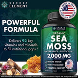 Sea Moss Capsules - Irish Sea Moss Advanced with Burdock Root, Bladderwrack & Muira Puama for Immunity, Gut, & Energy - Superfood Sea Moss Supplements w/Raw Sea Moss Powder - 120 Irish Seamoss Pills