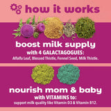 Dr. Stephanie's Milk Multiplier Lactation Support Gummies - Fenugreek Free Breastfeeding Supplement for Milk Supply Increase - with Milk Thistle, Fennel Seed, Alfafa - Postpartum & Nursing Essentials