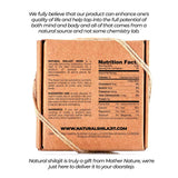 NATURAL SHILAJIT Resin - 10 Gram - Shilajit for Men with Fulvic Acid & Trace Minerals, Plant Based Nutrients for Energy, Immune Support & Vitality - Pure & Organic Gold Grade Shilajit Resin A+