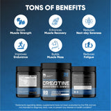 THE HOLISTIC COMPANY High Strength Creatine Monohydrate Gummies - 5Grams Per Serving, Pre Workout Gummies, Blueberry Flavored Creatine Monohydrate Gummies