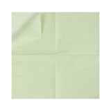 200 Pack Sage-Green Cocktail Napkin 2-Ply Dessert Napkins Folded 5 x 5 Inches Disposable Napkins for Dinner Wedding Birthday Party Bridal Anniversary Reception Event (200, Sage-Green)