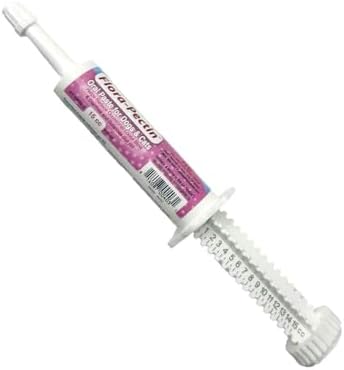 Oral Paste for Dogs & Cats-Helps Reduce Occasional Loose Stool & Diarrhea, Balance Gut pH, Support Normal Digestion & Intestinal Flora-Fast Acting (15 CC - Tasty Chicken Flavor)