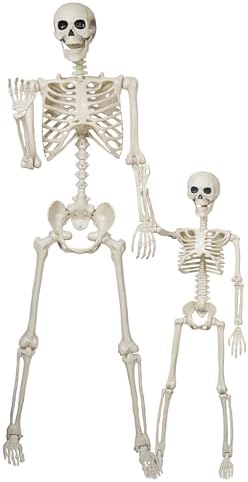 breesky Skeleton Model for Decoration: 5.4Ft Skeleton with 3Ft Skeleton with Movable Joints -Plastic Human Bones for Party, Study