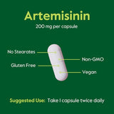 BESTVITE Artemisinin 200mg (60 Vegetarian Capsules) - No Stearates - No Flow Agents - Vegan - Non GMO - Gluten Free