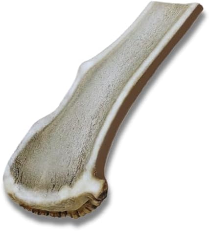 WhiteTail Naturals - Premium Split Elk Antlers for Large Dogs - (Extra Large-1Pack) - Elk Horn Dog Chews - Naturally Shed, Antler Chew Bone - Long Lasting, Crafted in USA