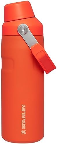Stanley IceFlow Fast Flow Water Bottle 16 oz | Angled Spout Lid | Lightweight and Leakproof for Travel and Sports | Insulated Stainless Steel | BPA-Free |Tigerlily