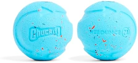 Chuckit! Rebounce Ball Dog Toy - Bouncy Fetch Balls for Dogs 20-60 lbs - Made from Durable Rubber - Outdoor Pet Toys - Size Medium - 2.5-inch Diameter - Pack of 2 - Blue