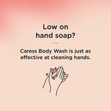 Caress Beauty Bar Soap for Women, Daily Silk Extract and Floral Oil Essence, Moisturizing Body Soap for Noticeably Silky, Soft Skin, 3.15 oz, 48 Bath Bars