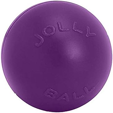 Jolly Pets Push-n-Play Ball Dog Toy, 10 Inches/Large, Purple
