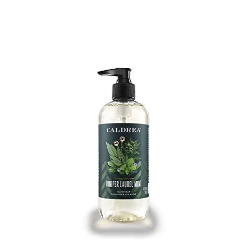 Caldrea Hand Wash Soap, Aloe Vera Gel, Olive Oil and Essential Oils to Cleanse and Condition, Juniper Laurel Mint Scent, 10.8 oz
