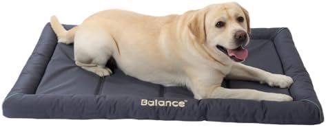 BALANCE Heavy Duty Oxford Dog Bed for Dog Crates, Waterproof Dogs Crates Pad Outdoor Durable Puppy Crate Mat, Wipe Clean & Easy Rinse, 48 inch