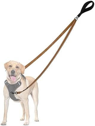 PetBonus Two Point Control Dog Leash, Works with No Pull Harnesses, No Tangle Dog Training Leashes, No Pull Padded and Reflective Walking Lead, Converts to Single Leash for Medium Large Dogs (Brown)