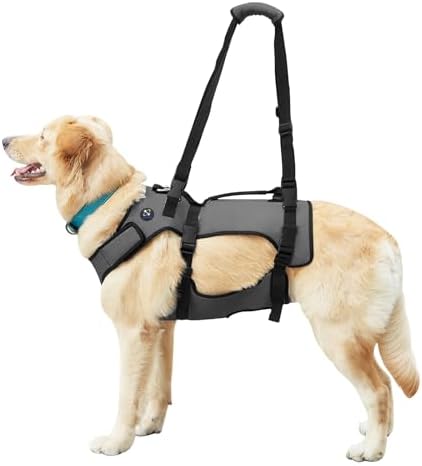 Coodeo Dog Lift Harness, Support & Recovery Sling, Pet Rehabilitation Lifts Vest Adjustable Breathable Straps for Old, Disabled, Joint Injuries, Arthritis, Paralysis Dogs Walk (XXLarge)