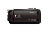 SONY HDR-CX405 9.2 MP Full HD Camcorder (30x Optical Zoom) - Black