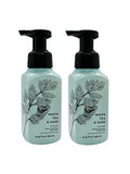 White Barn Gentle Foaming Hand Soap in White Tea & Sage (2 Pack)