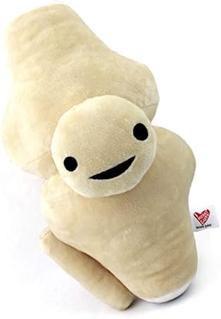I Heart Guts Knee Joint Plush - Kneed for Speed - Knee Joint Stuffed Pillow Toy Bone, Knee Surgery Gifts - Doctors, Physical Therapists & Orthopedic Surgeon Gifts