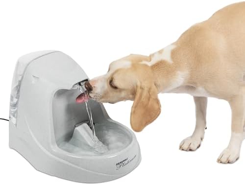 PetSafe Drinkwell Platinum Cat Water Fountain (168 oz/5L) - Pet Fountain for All Pet Sizes, Indoor Use, Encourages More Drinking, Includes Replaceable Carbon Filter, Grey