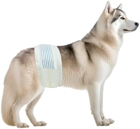BV Dog Wraps Male Large (Waist 21-26in) Super Absorbent - 50 Count Male Dog Wraps Disposable - Doggie Diapers with Wetness Indicator - Adjustable Male Dog Wraps - Ideal for Incontinence/Training