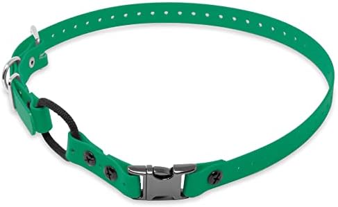Educator Quick Snap Bungee Dog Collar, Biothane, Waterproof, Odorproof, Easy Connect and Disconnect Clasp and D Ring with Comfort Bungee Loop, Adjustable for Custom Fit, 3/4-Inch, Green