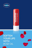 Vaseline Lip Rosy, Fast-Acting Nourishment, Ideal for Chapped, Dry, Cracked, or Damaged Lips, Lip Balm,12 Sticks, 1 Box