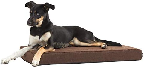 Barkbox Orthopedic Dog Bed with Memory Foam, Premium Comfort for Dogs and Puppies, Dog Bed for Joint Relief and Restful Sleep, Durable and Easy to Clean - Espresso, Medium