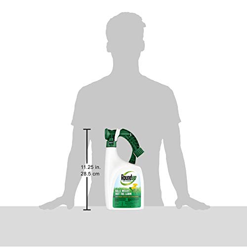 Roundup For Lawns3 Ready-To-Spray (Northern), 32 oz. - Lawn Safe Weed Killer for Northern Lawns, Kills Crabgrass, Dandelion, Clover and Yellow Nutsedge - Kills Weeds, Not the Lawn