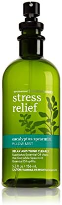 Bath and Body Works Aromatherapy Pillow Mist Eucalyptus Spearmint (Retired Fragrance) 5.3 Fl Oz