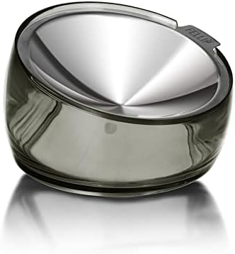 Felli Pet Oblik Whisker Fatigue Cat Food Bowl Raised Stainless Steel Shallow Dish, Pet Friendly Design Anti Vomit Tilted Metal Plate Feeder Elevated Acrylic Base for Treats Storage (0.5 Cups, Smoky)