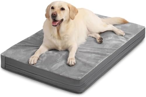 Waterproof XXL Dog Beds Large Sized Dog, Orthopedic Washable Crate Pad 48 inch, Jumbo XXLarge Foam Pet Bed with Removable Cover Reversible, Anti-Slip Kennel Pad, 47"x29", Gray