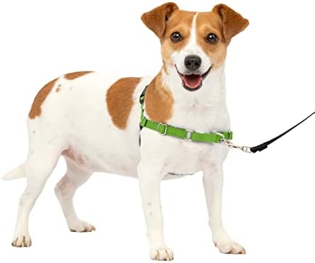 PetSafe Easy Walk No-Pull Dog Harness - The Ultimate Harness to Help Stop Pulling - Take Control & Teach Better Leash Manners - Helps Prevent Pets Pulling on Walks, Small, Apple Green/Gray
