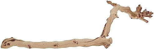 Exo Terra Forest Branch, Large