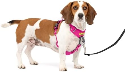 PetSafe Easy Walk Comfort No-Pull Dog Harness Full-Body Padding - Better Walks on The First Use - 5 Points of Adjustment Small/Medium, Pink